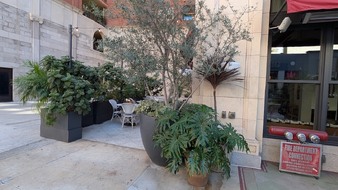 Enlarge photo 79