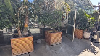 Enlarge photo 24