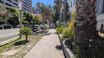 Enlarge photo 148