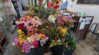 Enlarge photo 9