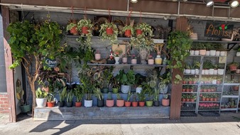 Enlarge photo 14