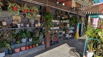 Enlarge photo 15