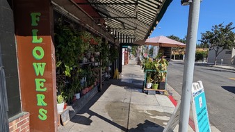 Enlarge photo 16