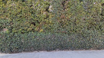 Enlarge photo 120