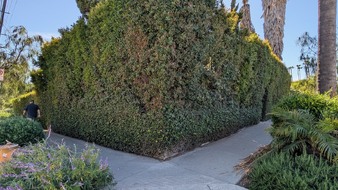Enlarge photo 123