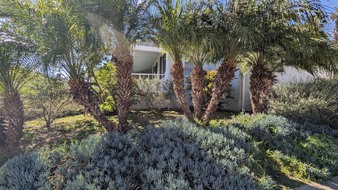 Enlarge photo 126