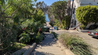 Enlarge photo 36