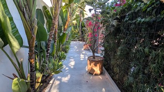 Enlarge photo 38