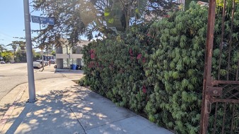 Enlarge photo 41
