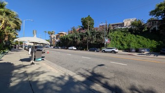 Enlarge photo 42
