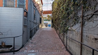 Enlarge photo 87