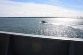 Enlarge photo 45