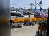Enlarge photo 16