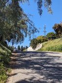Enlarge photo 29