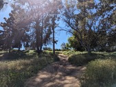 Enlarge photo 30