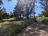 Enlarge photo 31