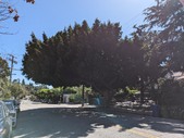 Enlarge photo 34