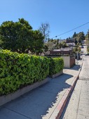 Enlarge photo 70