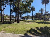 Enlarge photo 77