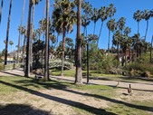 Enlarge photo 81