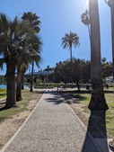 Enlarge photo 82