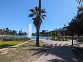 Enlarge photo 83