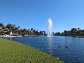 Enlarge photo 86