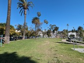 Enlarge photo 89
