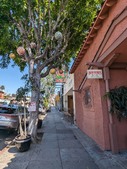 Enlarge photo 55