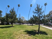 Enlarge photo 28