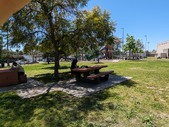 Enlarge photo 35