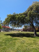 Enlarge photo 40