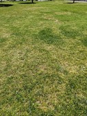 Enlarge photo 41