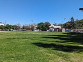 Enlarge photo 115