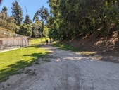 Enlarge photo 120