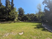 Enlarge photo 123
