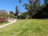 Enlarge photo 125