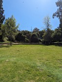 Enlarge photo 126