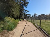 Enlarge photo 29