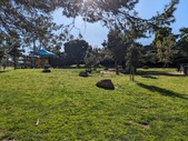 Enlarge photo 31