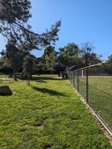 Enlarge photo 32