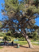 Enlarge photo 37