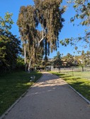 Enlarge photo 42
