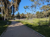 Enlarge photo 43