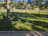 Enlarge photo 44