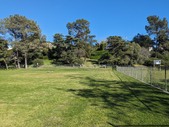 Enlarge photo 45