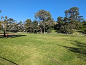 Enlarge photo 46