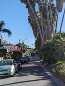 Enlarge photo 49