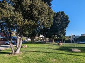 Enlarge photo 66
