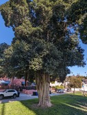 Enlarge photo 67